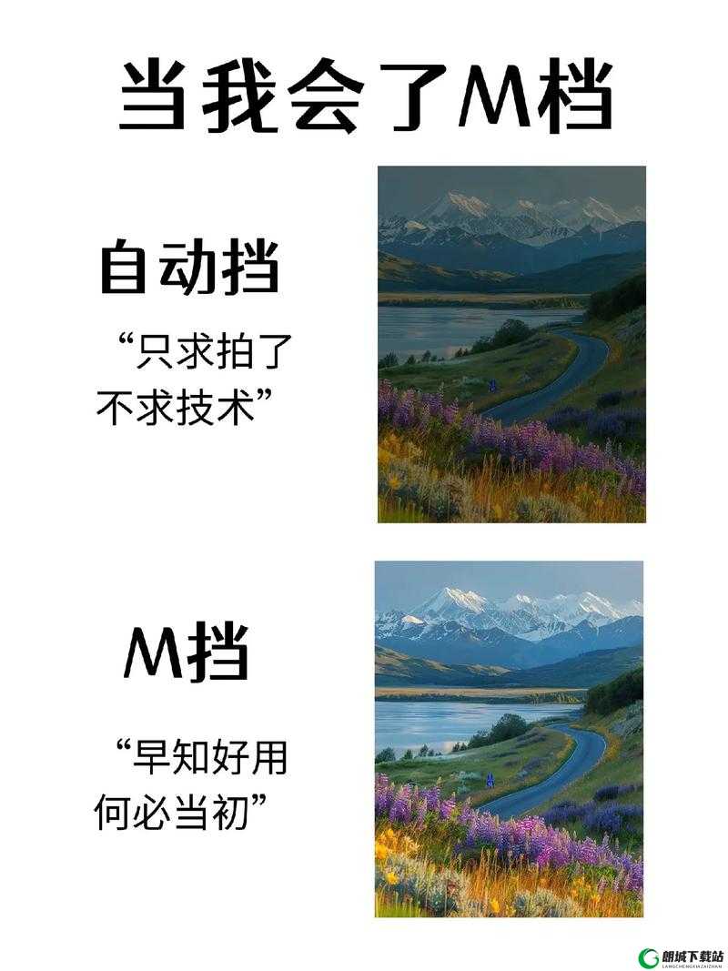 s 怎么驯化 m：实用指南